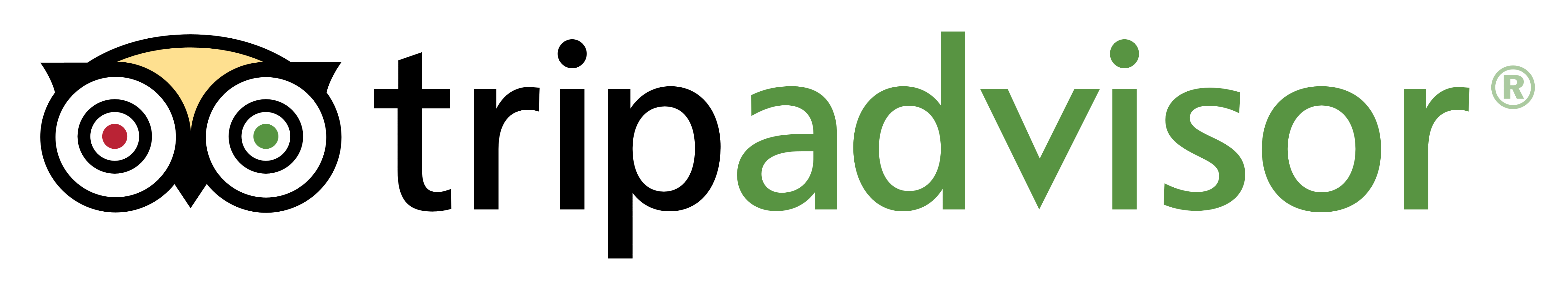small tripadvisor's logo